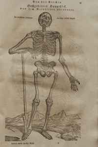 LEVELING, Heinrich Palmaz. Anatomische Erklärung der Original-Figuren von Andreas Vesal